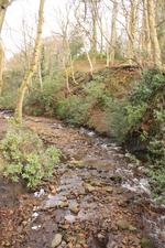 Crossing the Stream in Edale