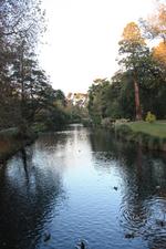 In Christchurch botanical gardens