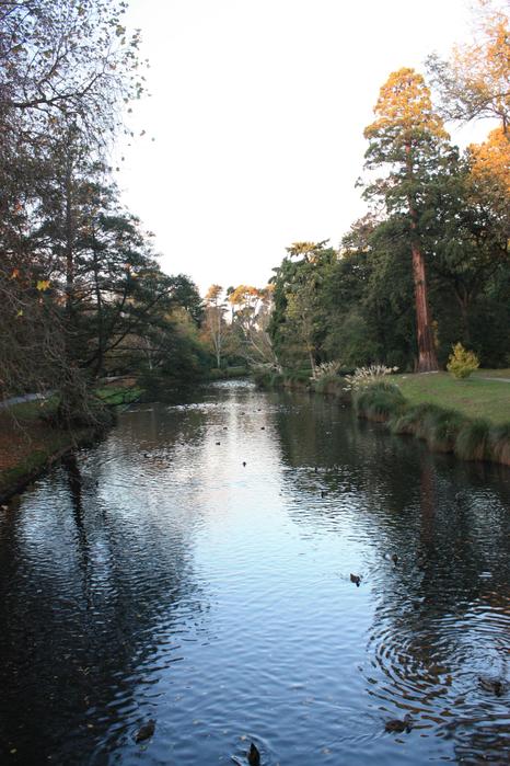 In Christchurch botanical gardens