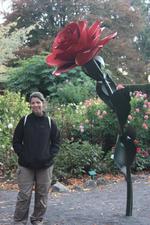 Christchurch Botanical gardens giant rose