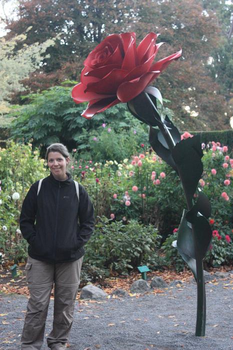 Christchurch Botanical gardens giant rose