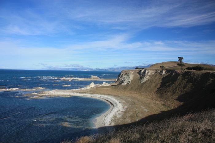 Kaikoura Peninsula 2