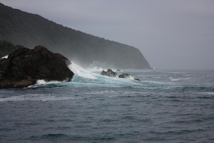 Tasman Sea meets Milford Sound