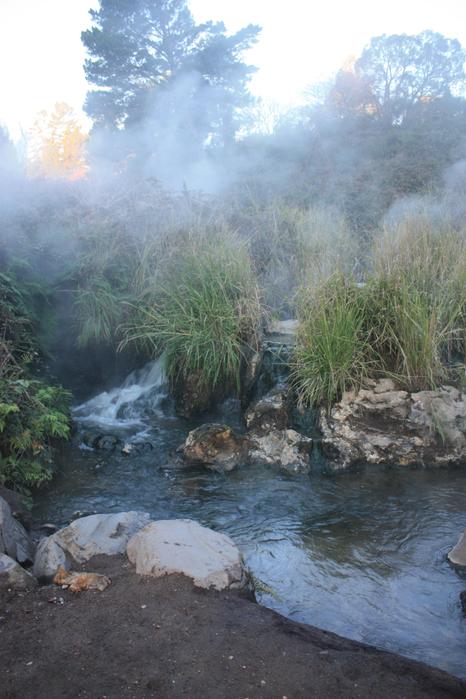 Hot stream in Taupo park