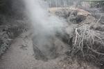 Bubbling mud pools in Rotorua