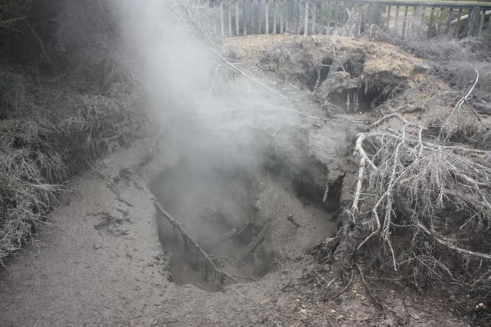 Bubbling mud pools in Rotorua