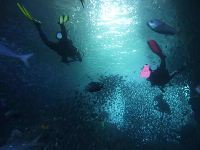 Both of us underwater