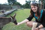Bex feeding a kangaroo