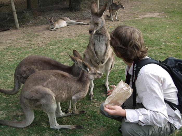 Pete and a kangaroo 3