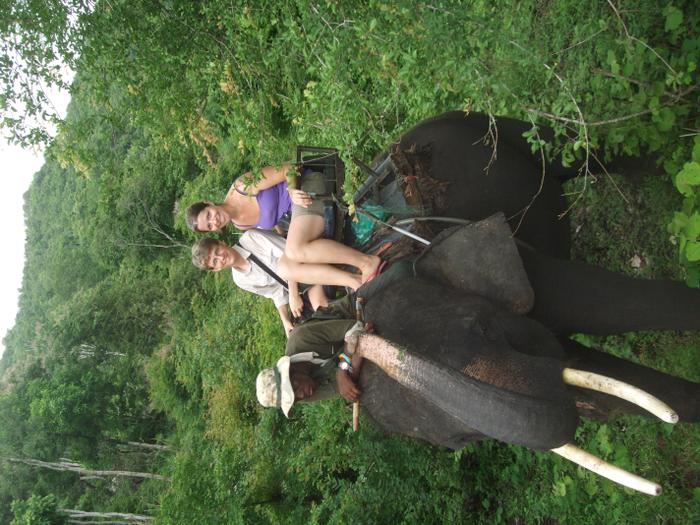 Elephant Ride