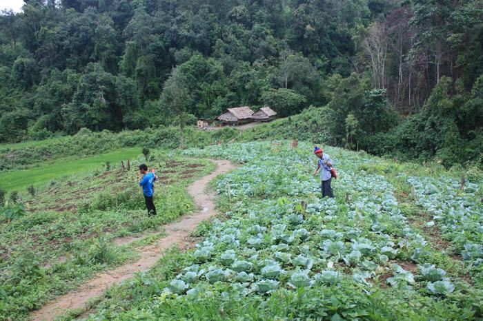 Fields where we stayed (and our guides)