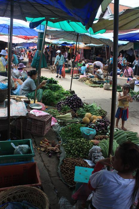 Market near Luang Prabang 2