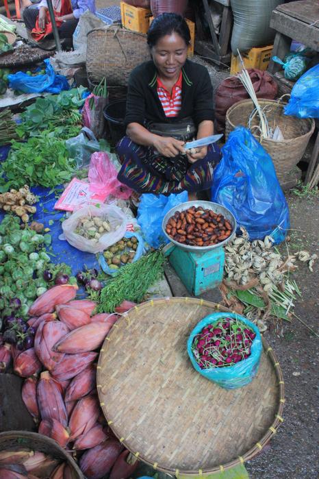 Market near Luang Prabang 5