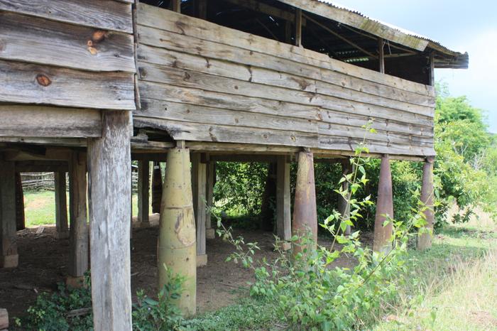 House made with Bombs