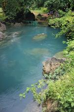 Freshwater Spring