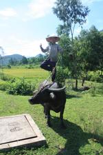 Boy on a Buffalo