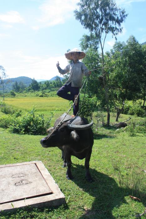 Boy on a Buffalo