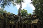 Ta Prohm 5