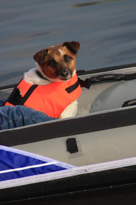 George goes for a paddle